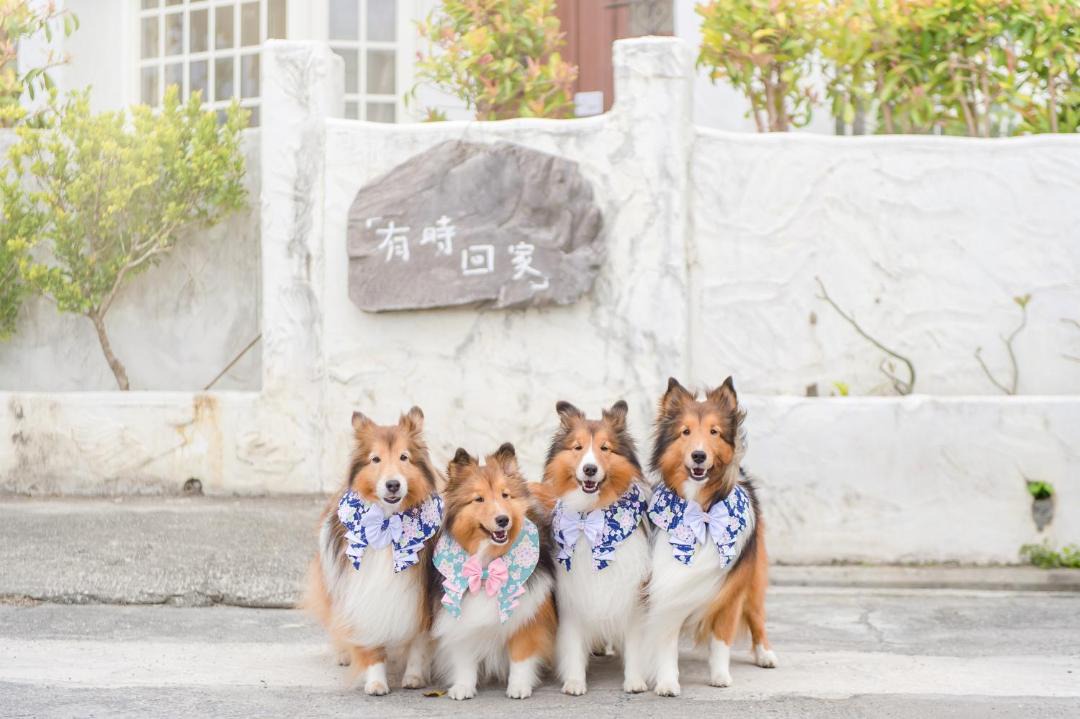 Photo of Others in Taitung City Centre