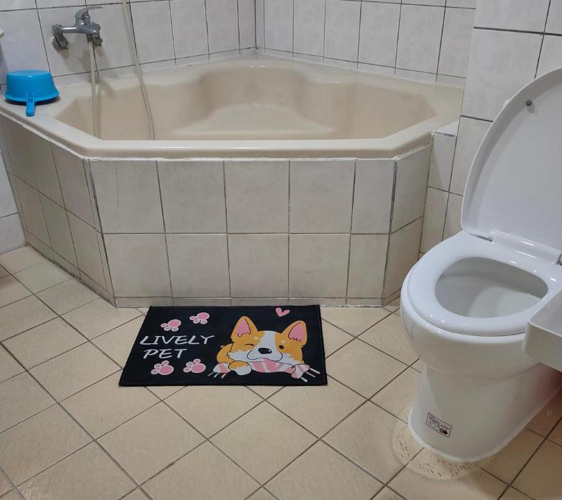 Photo of Bathroom in Beinan