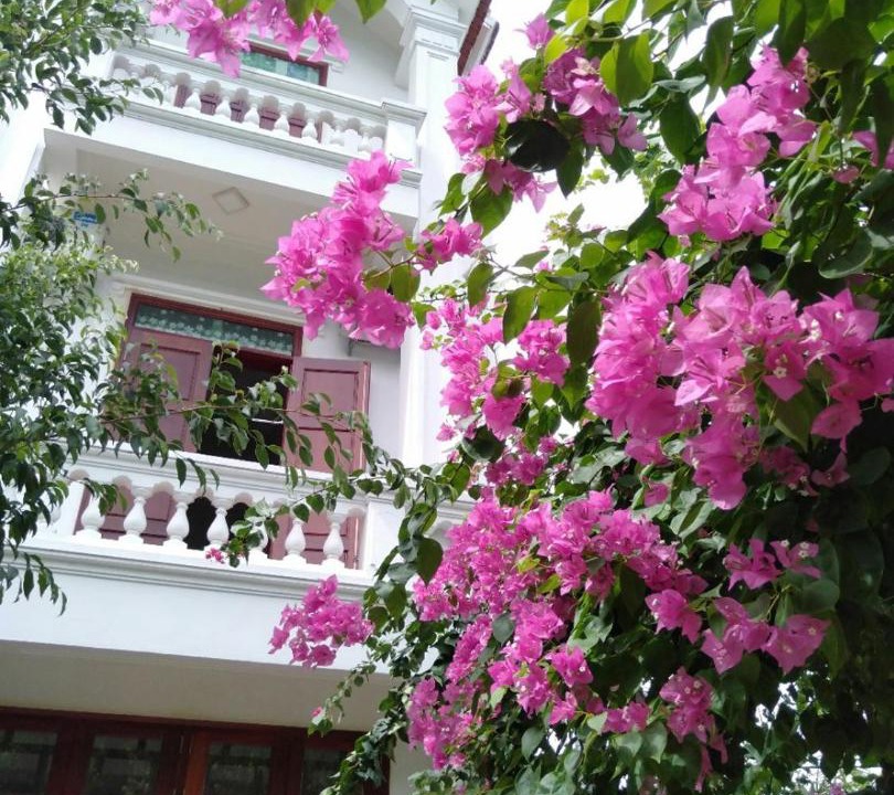 Photo of Others in Hoa Lu
