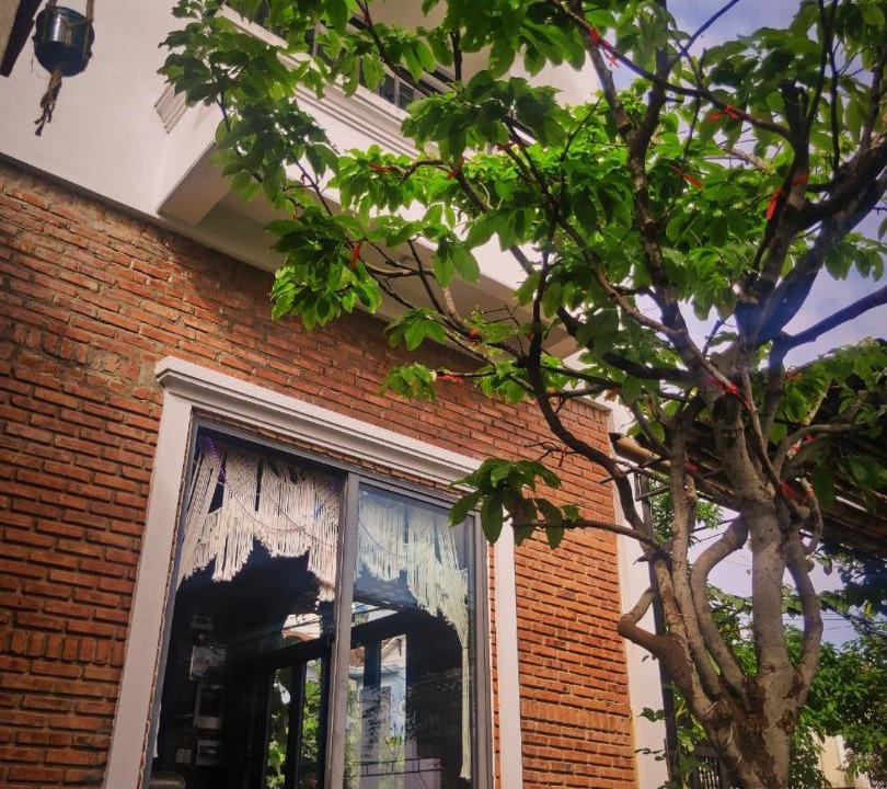 Photo of Others in Hoi An