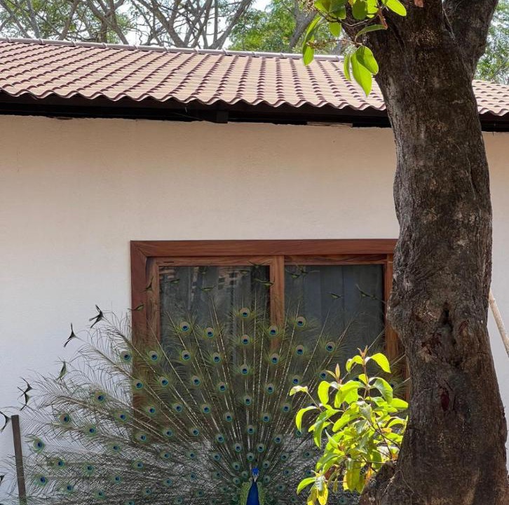 Photo of Others in Cuautepec