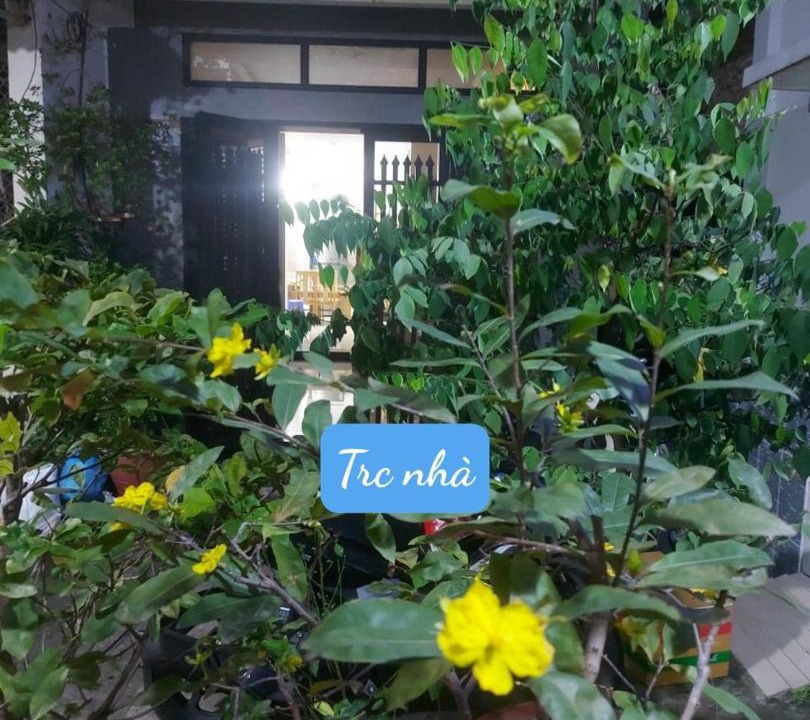 Photo of Others in Binh Tan