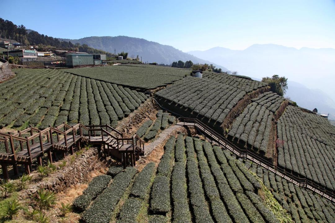 Photo of Others in Zhuqi