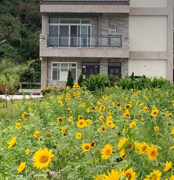 Photo of Buildings in Chenggong