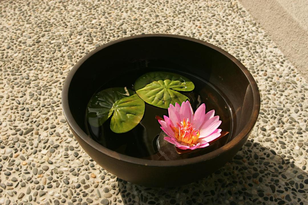 Photo of Patio Balcony in Wulai