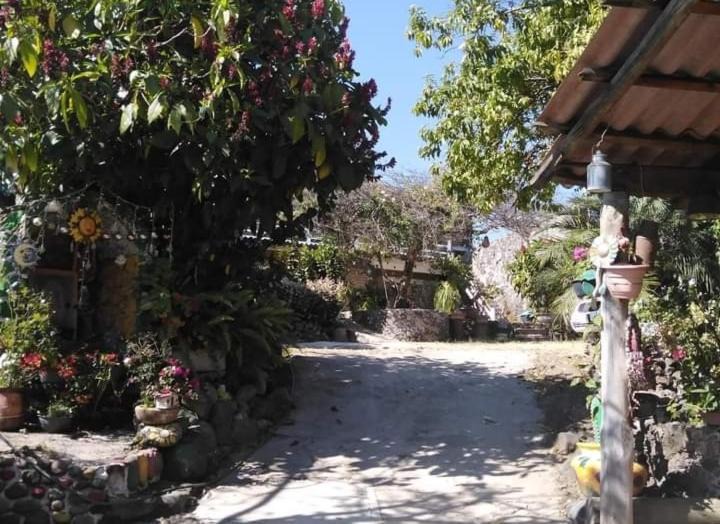 Photo of Others in Tepoztlan