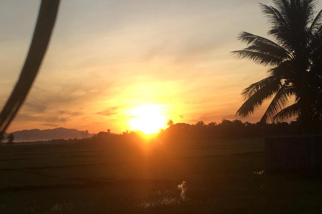 Photo of Others in Phuoc Dan