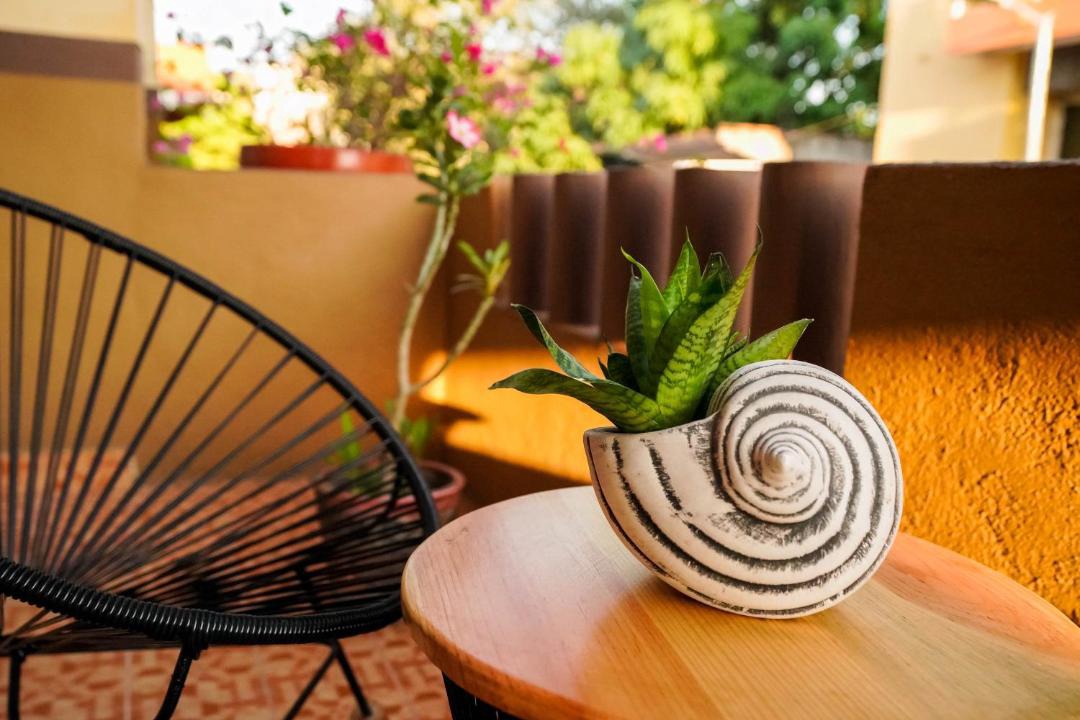 Photo of Patio Balcony in Centro