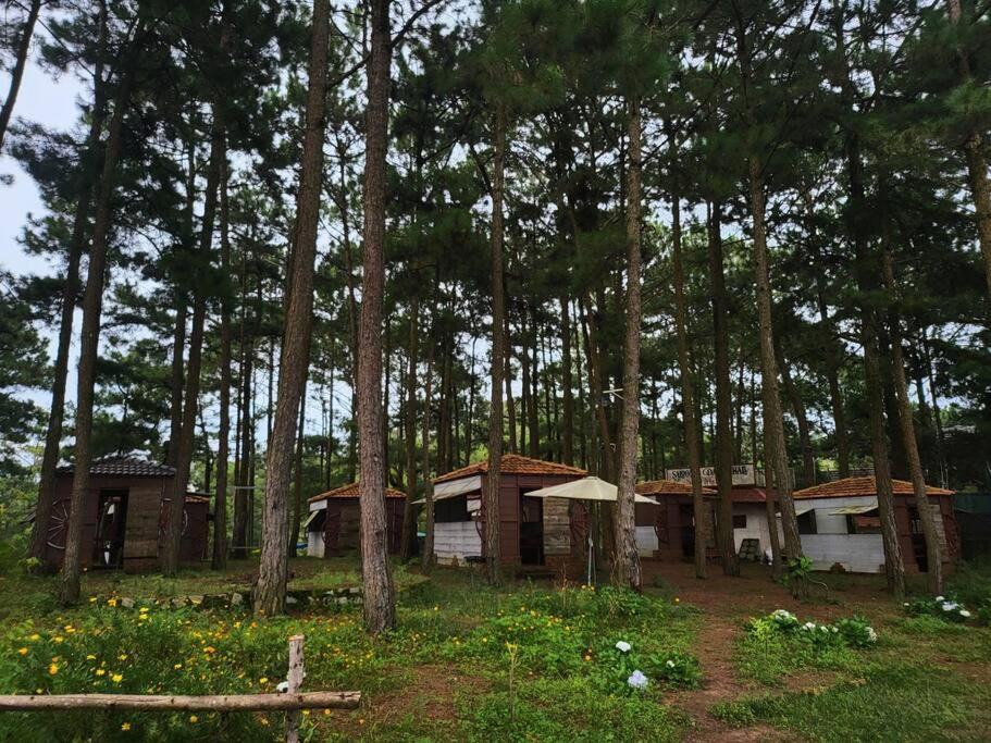 Photo of Others in Da Lat