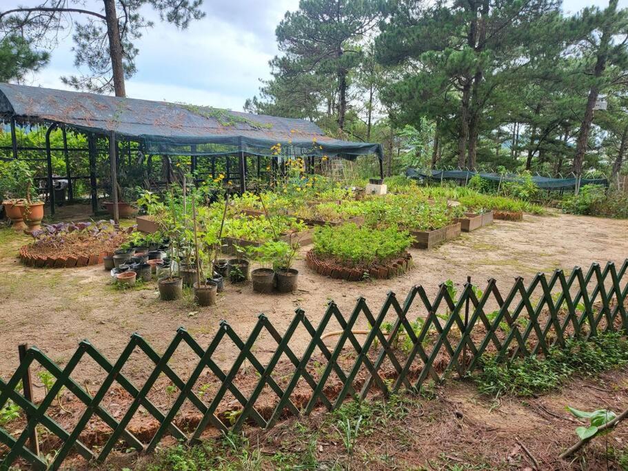 Photo of Others in Da Lat