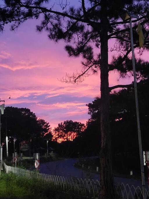 Photo of Others in Da Lat