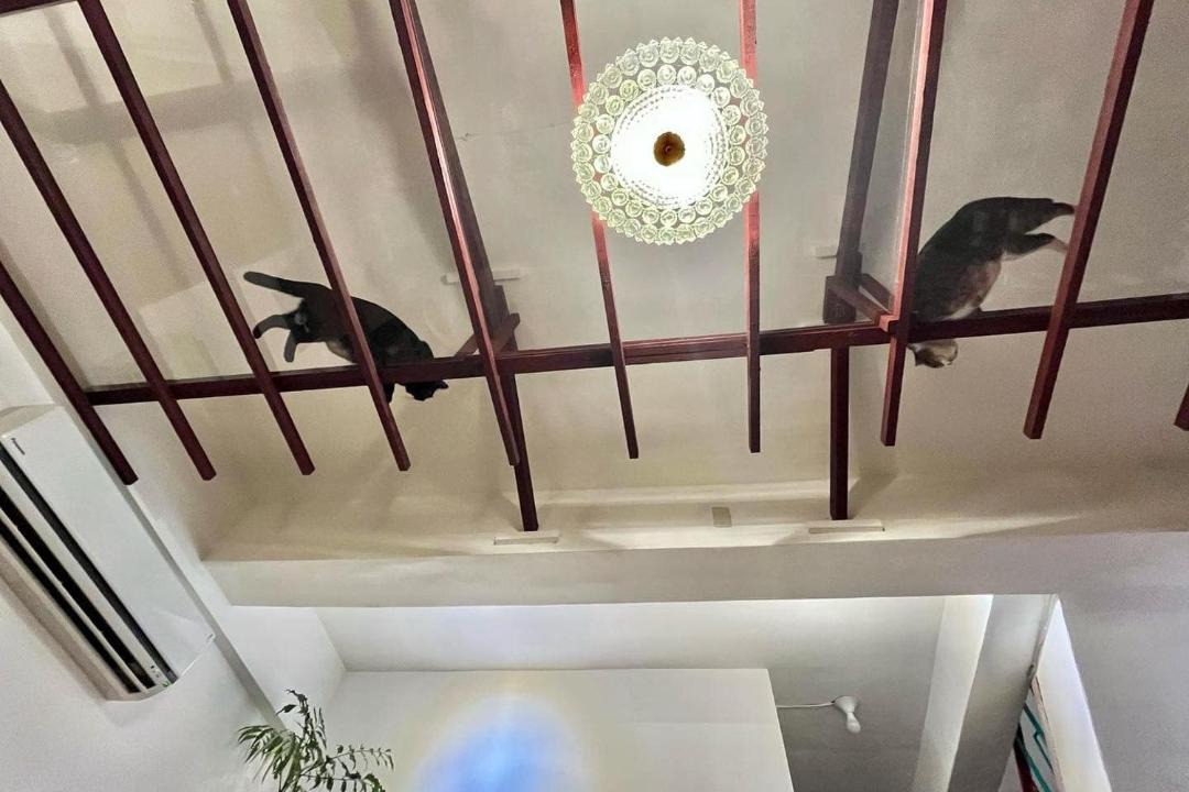 Photo of Others in Toucheng