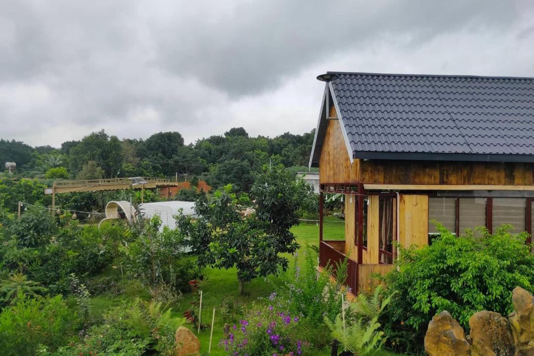 Photo of Others in Da Lat