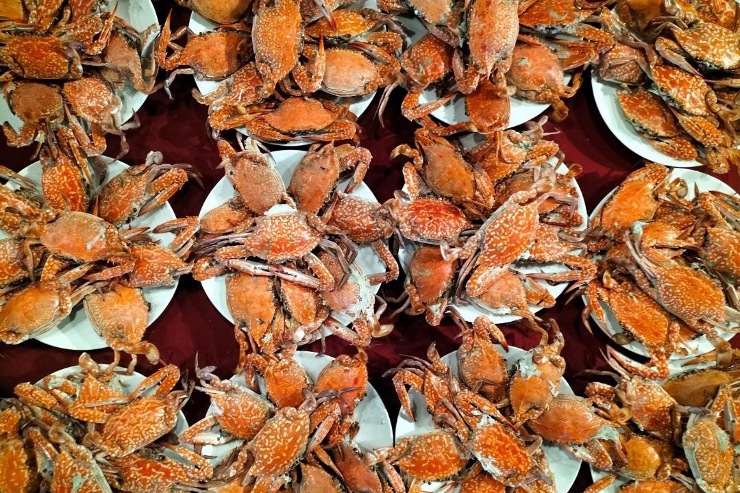 Photo of Others in Mui Ne