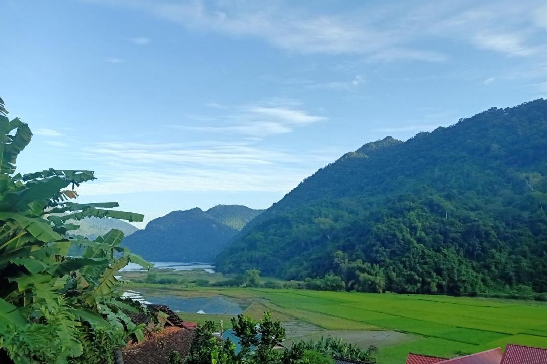 Photo of Others in Nam Mau