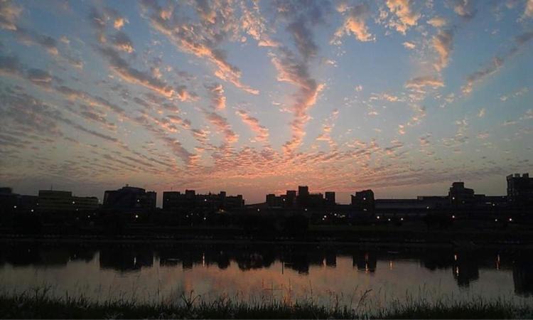 Photo of Others in Songshan