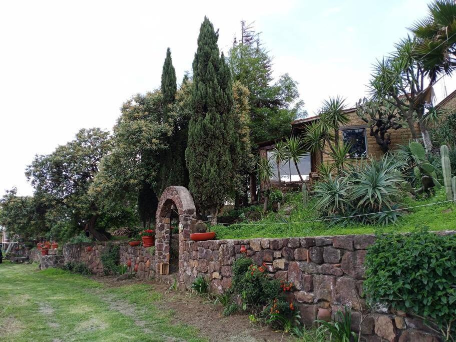 Photo of Others in Xochimilco