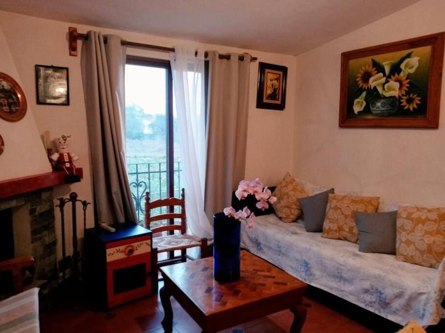 Photo of Livingroom in Xochimilco