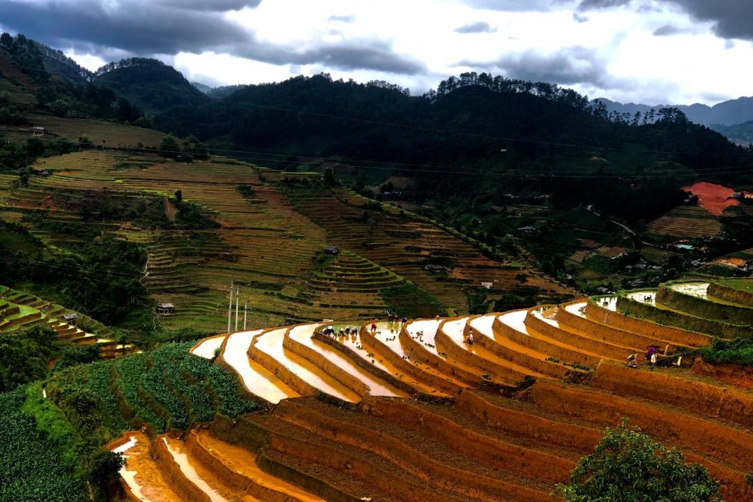 Photo of Others in Mu Cang Chai