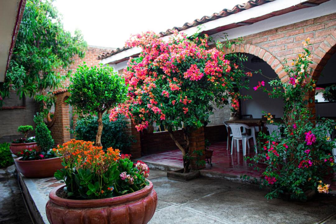 Photo of Others in Mascota