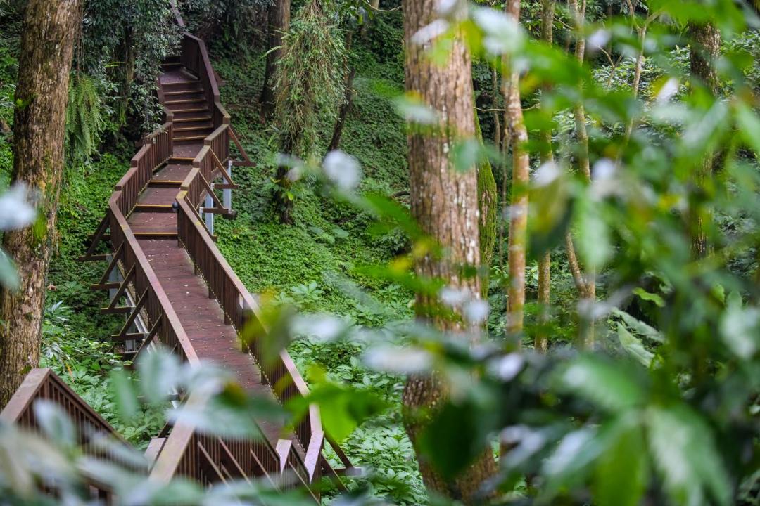 Photo of Outdoor in Lugu