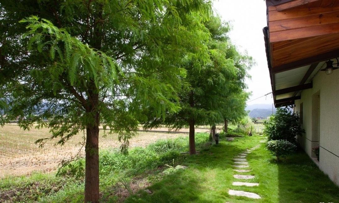 Photo of Others in Sanxing