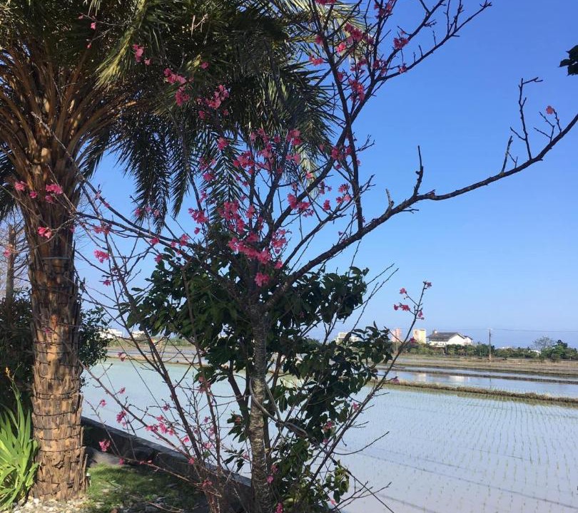 Photo of Others in Dongshan