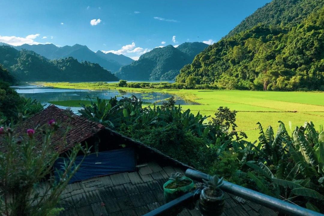 Photo of Others in Nam Mau