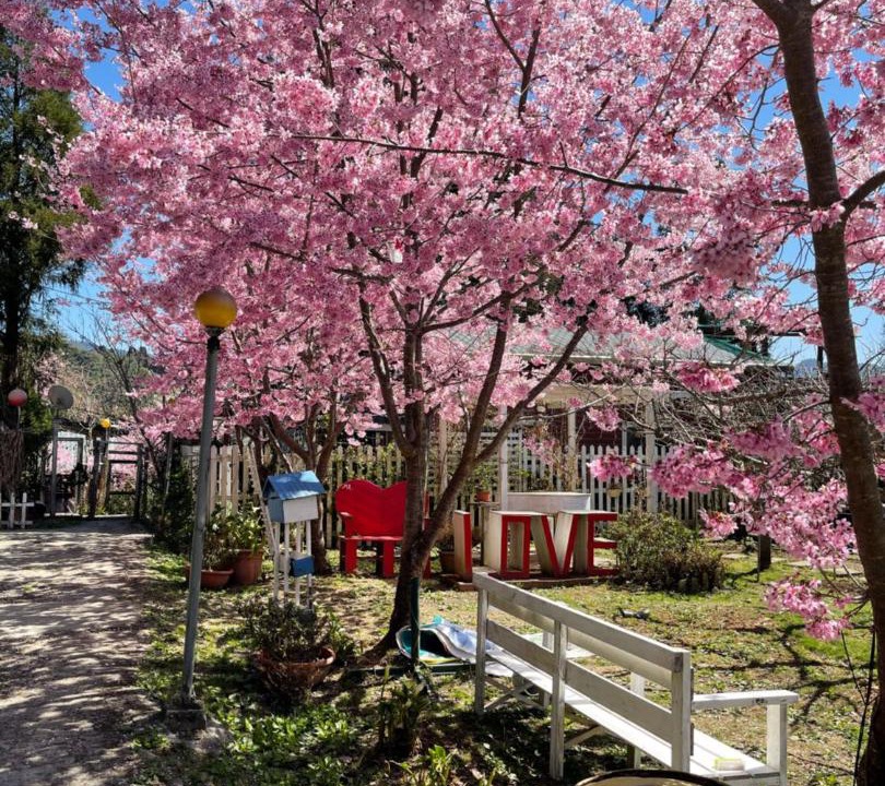 Photo of Outdoor in Fuxing District