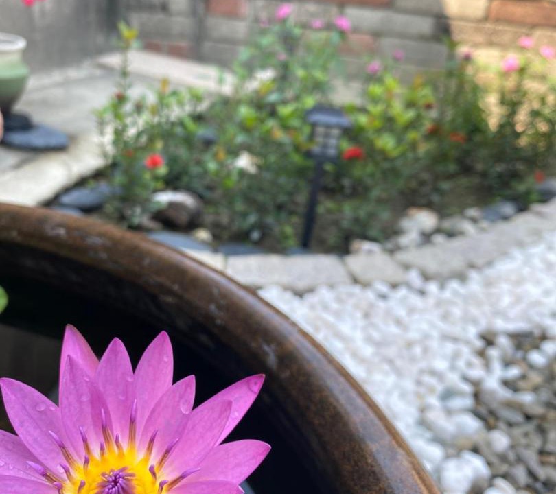 Photo of Outdoor in Beidou