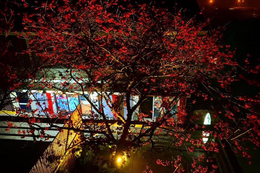 Photo of Bedroom in Sanyi