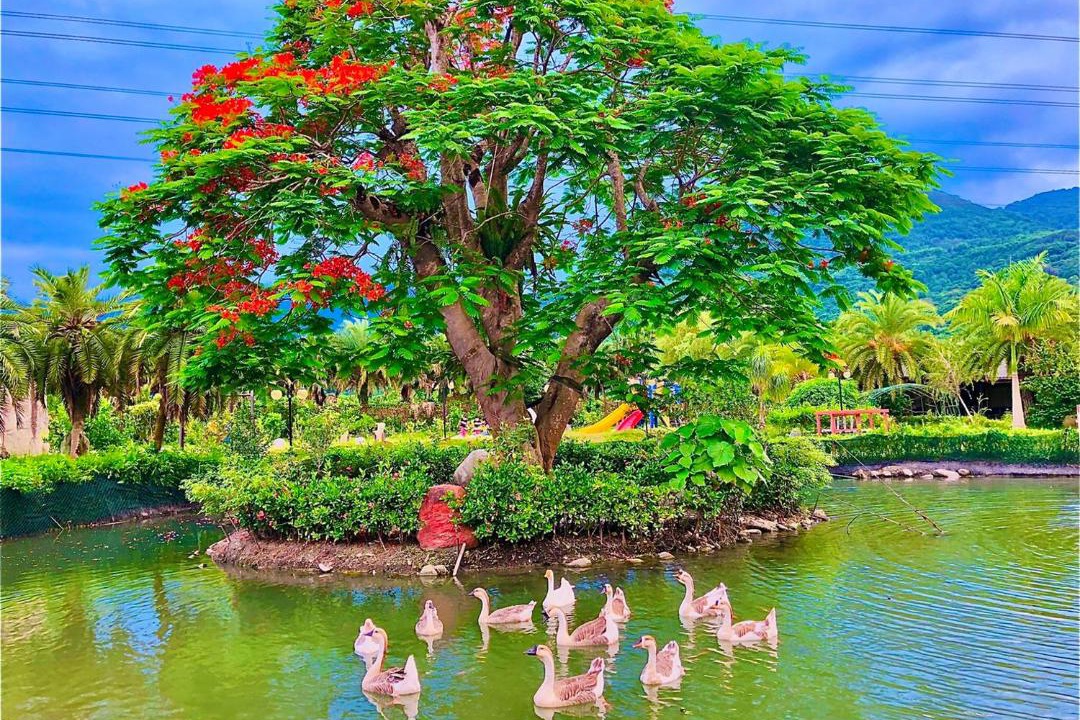 Photo of Others in Ruisui