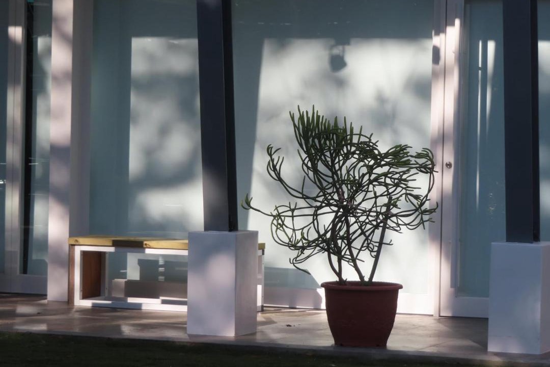 Photo of Livingroom in Puli