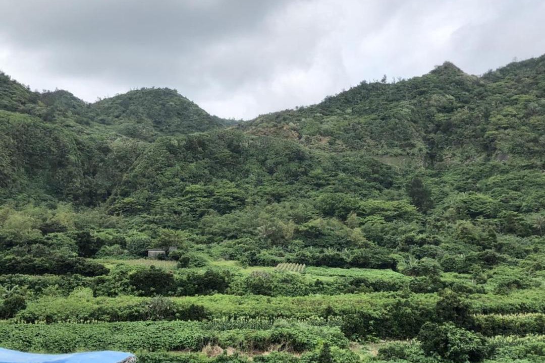 Photo of Others in Lyudao
