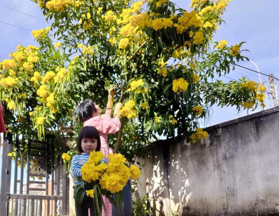 Photo of Others in Da Lat