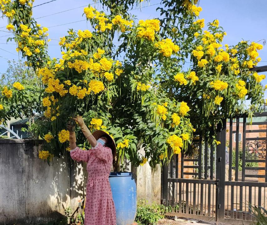 Photo of Others in Da Lat
