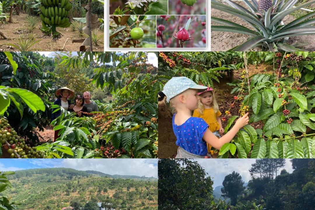 Photo of Others in Da Lat