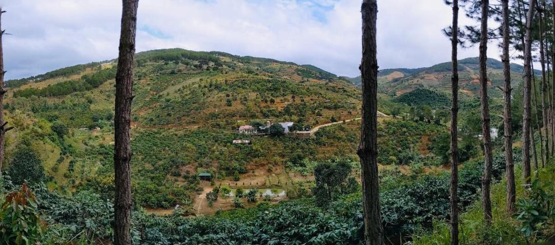 Photo of Others in Da Lat