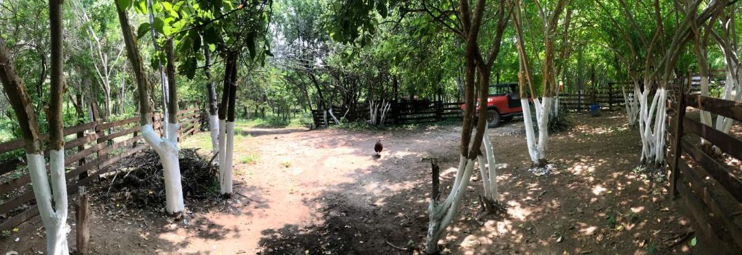 Photo of Outdoor in San Pedro Pochutla