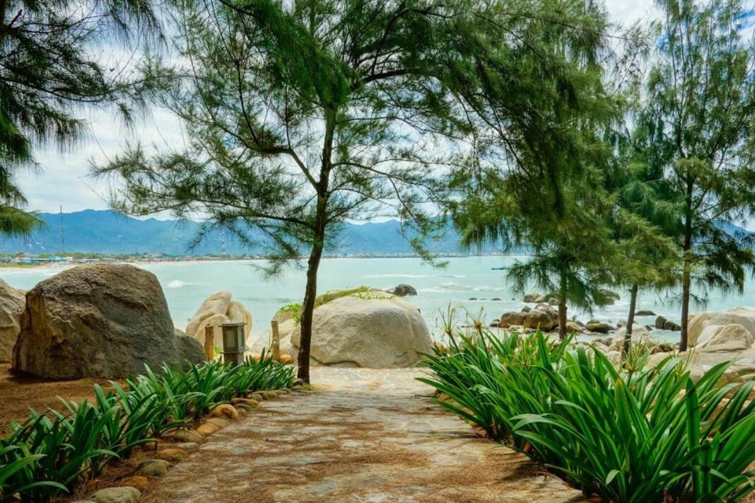 Photo of Others in Phuoc Diem