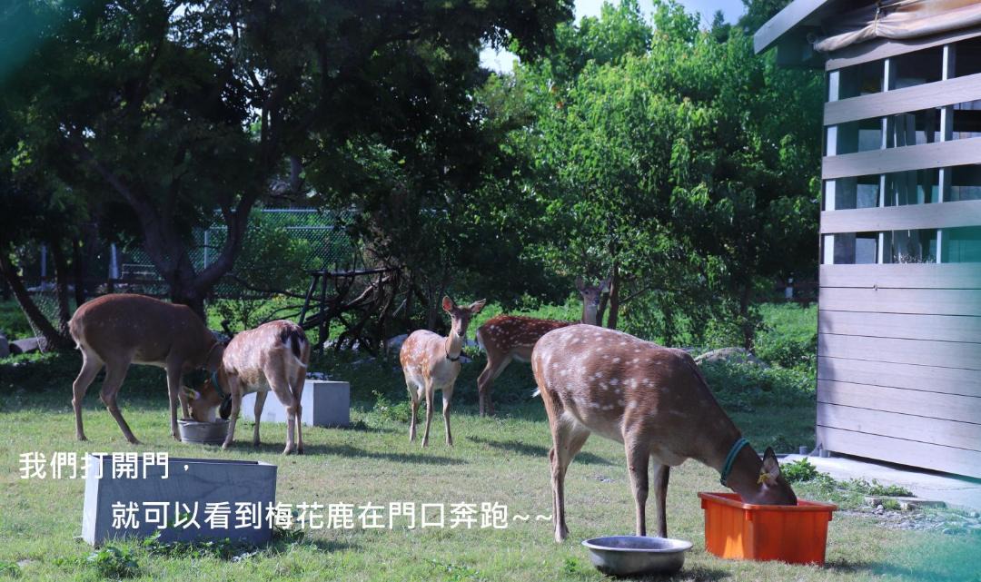 Photo of Bedroom in Lukang