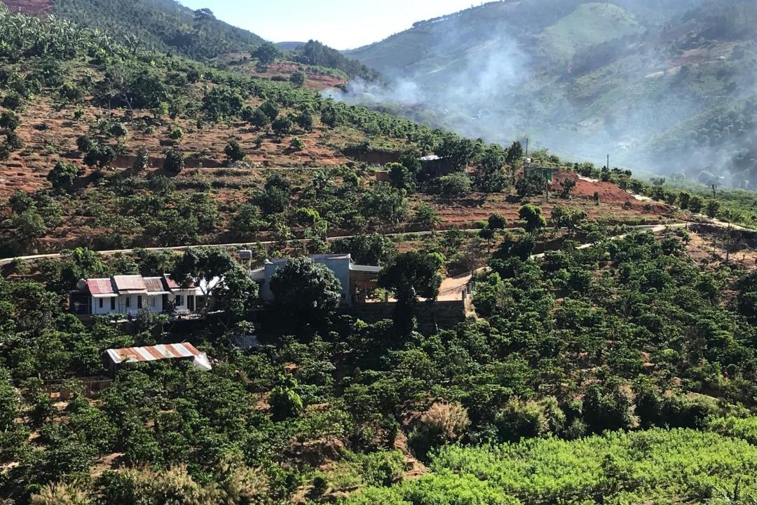 Photo of Others in Da Lat