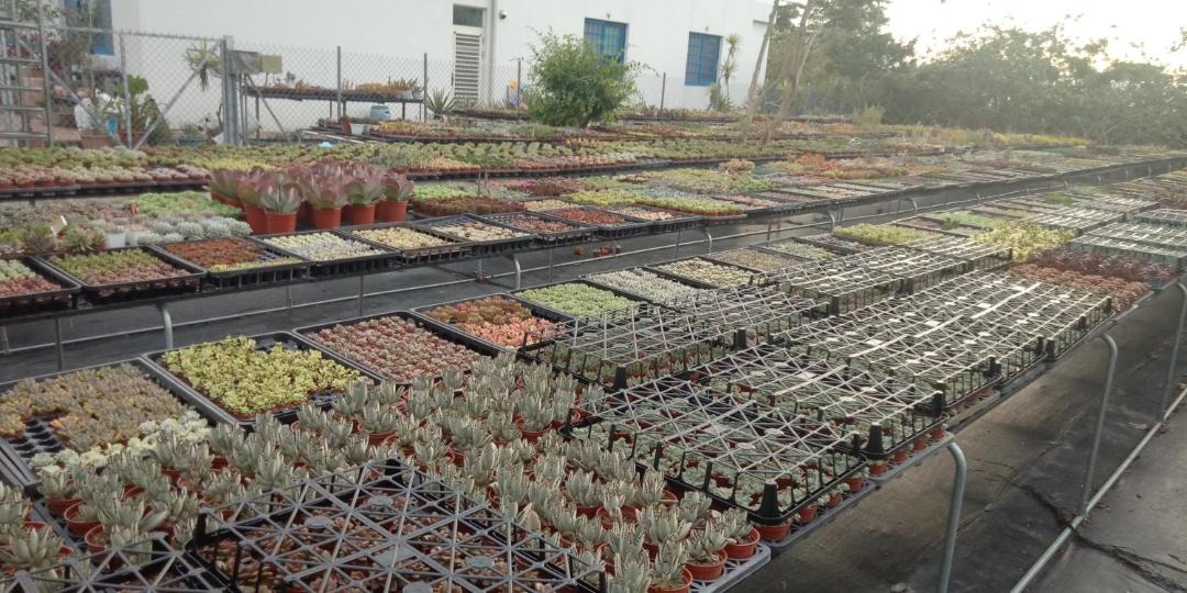 Photo of Others in Tianwei