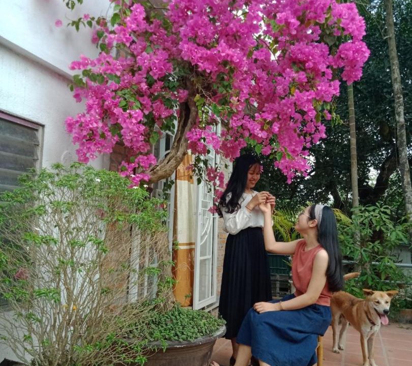 Photo of Others in Thuy Xuan