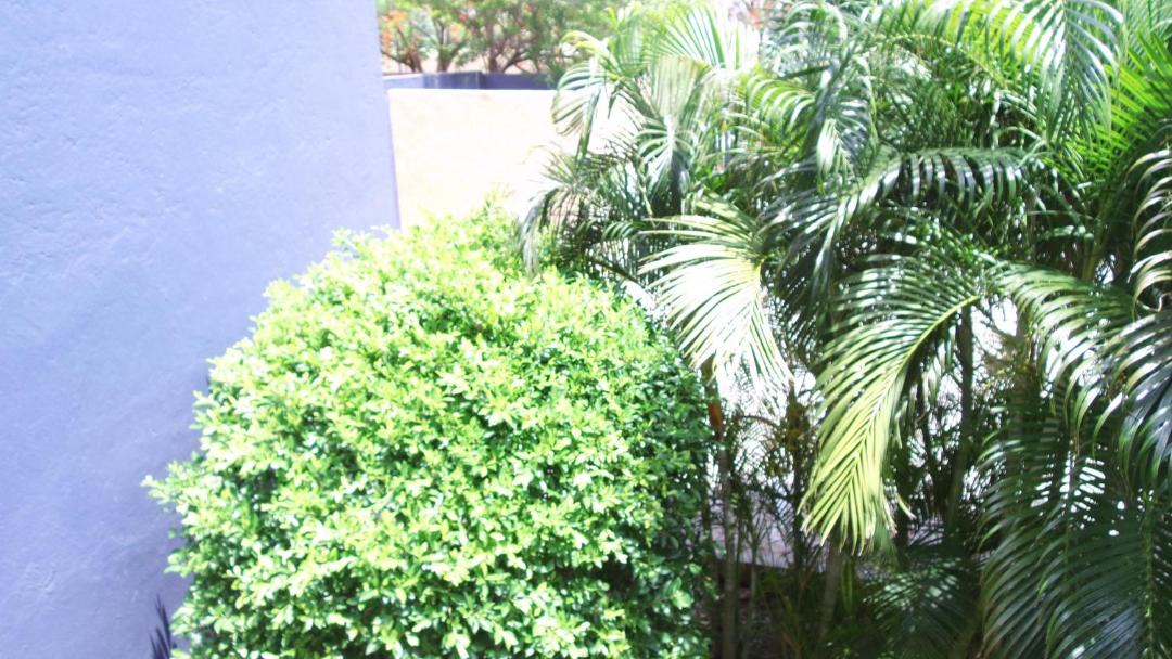 Photo of Others in Tehuantepec