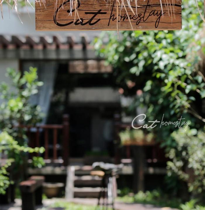 Photo of Others in Thuy Xuan