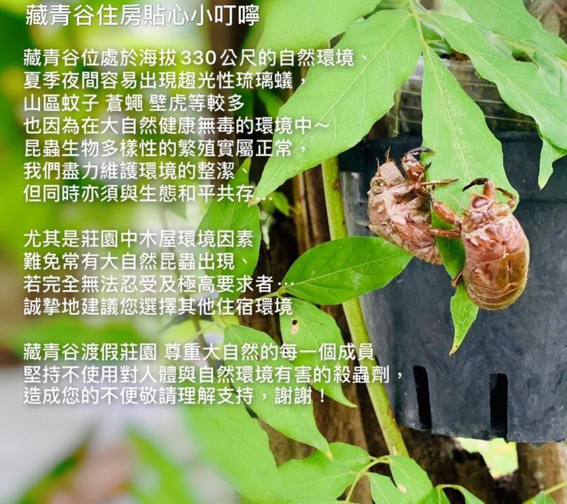 Photo of Others in Liugui District