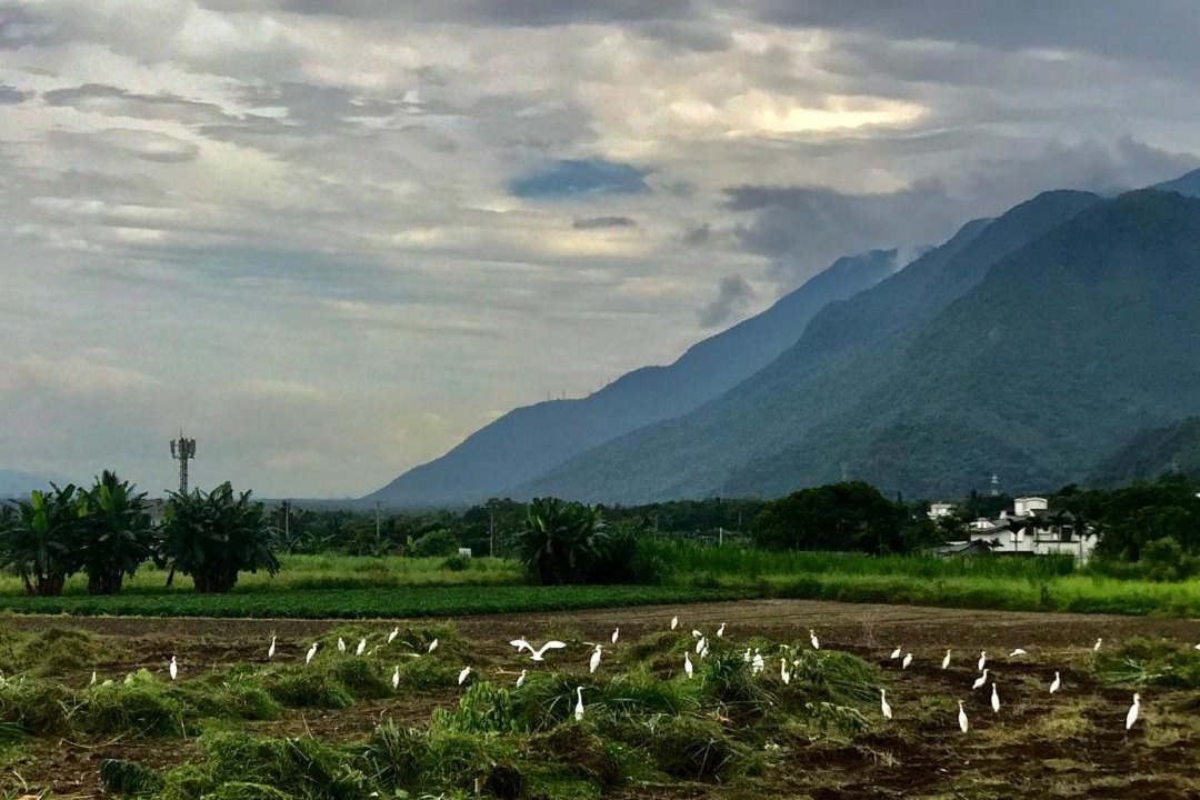 Photo of Others in Xiulin