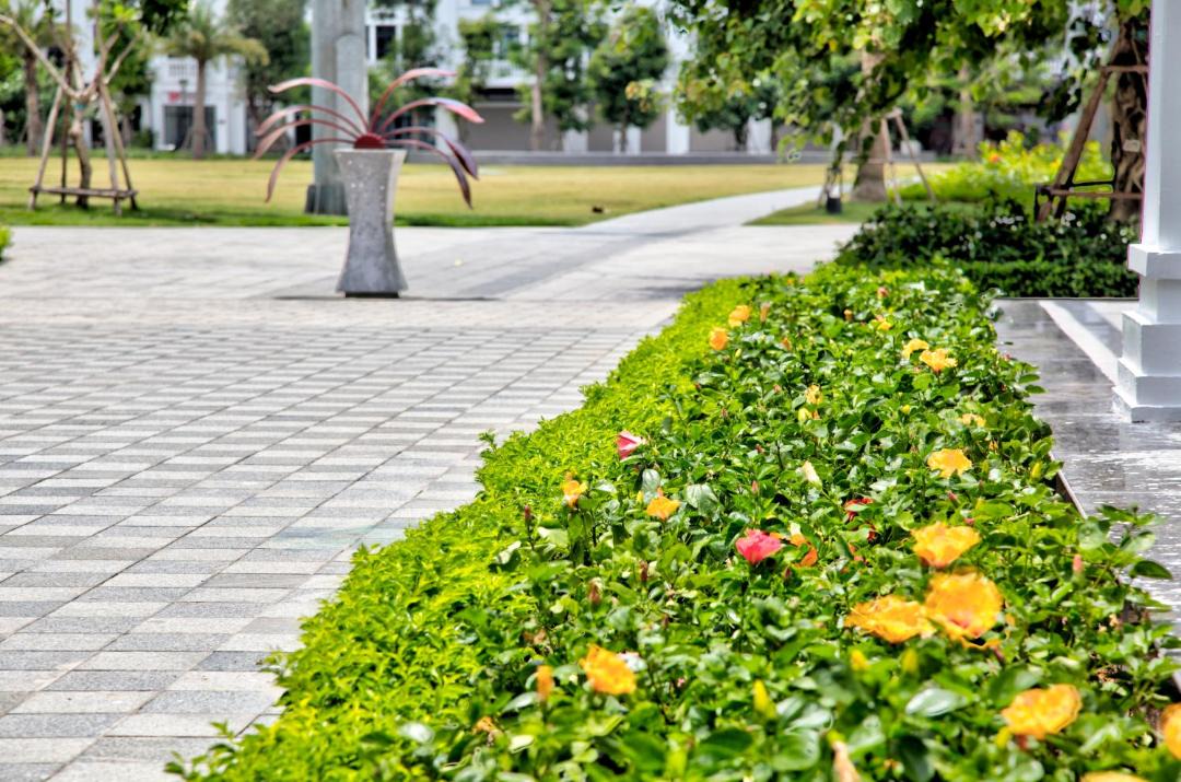 Photo of Others in Hai Phong