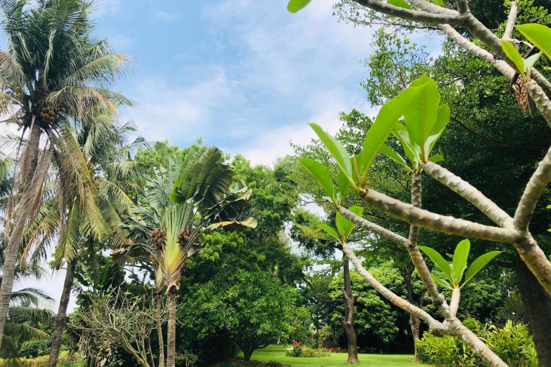 Photo of Outdoor in Guantian